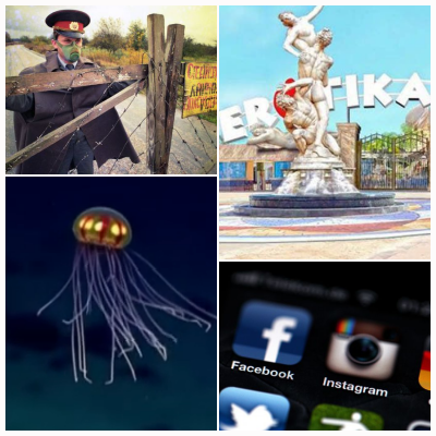 Faze tari, Foto: Colaj foto