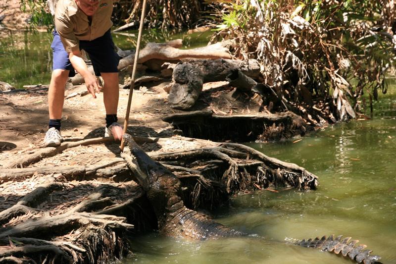 Hartley s Crocodile Adventures, in Queensland, Foto: Mon