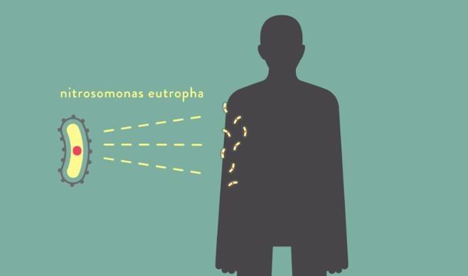 Bacteria Nitrosomonas Eutropha si beneficiile pe care le-ar putea avea pentru sanatatea pielii, Foto: captura ecran