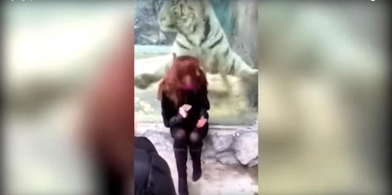 Clipul zilei, Foto: Captura YouTube