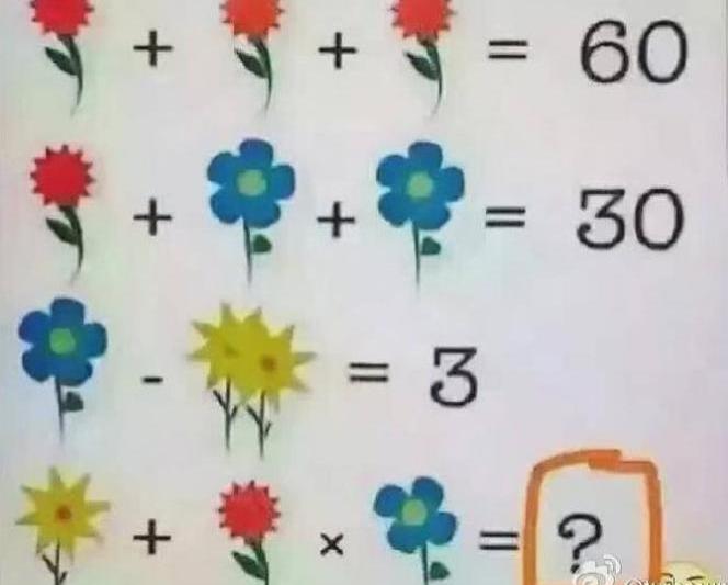 O problema de matematica cu flori, Foto: captura ecran