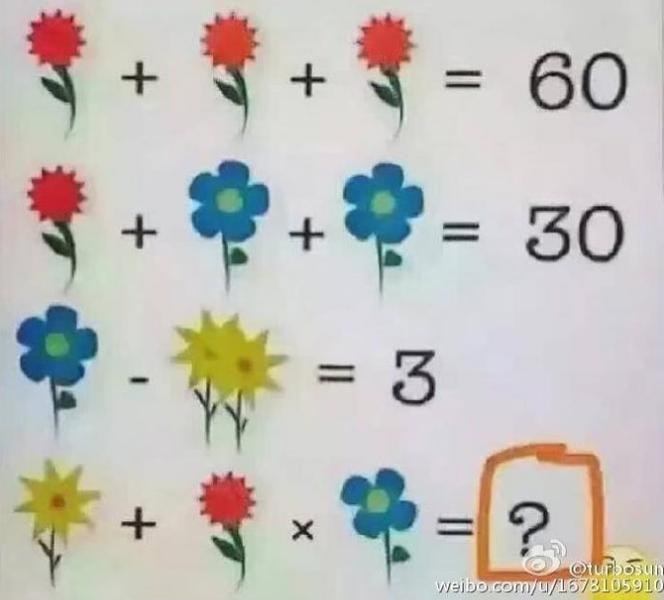 O problema de matematica cu flori, Foto: captura ecran