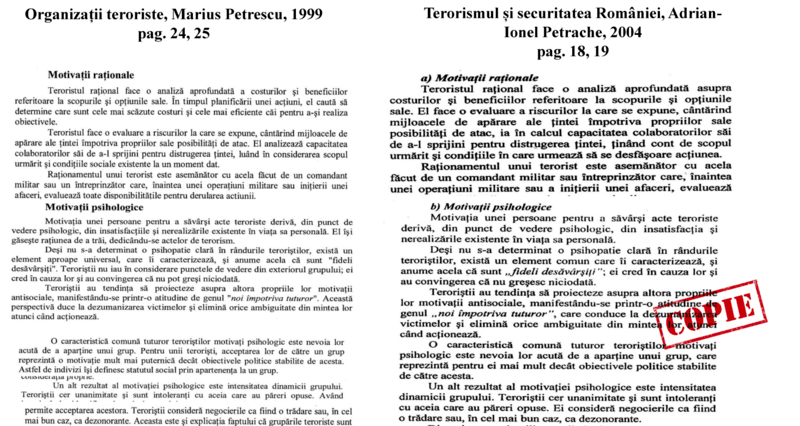 Pagina din lucrarea de doctorat a lui Adrian Petrache, suspectata de plagiat, Foto: 7est.ro