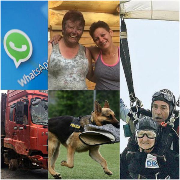 Faze tari, Foto: Colaj foto