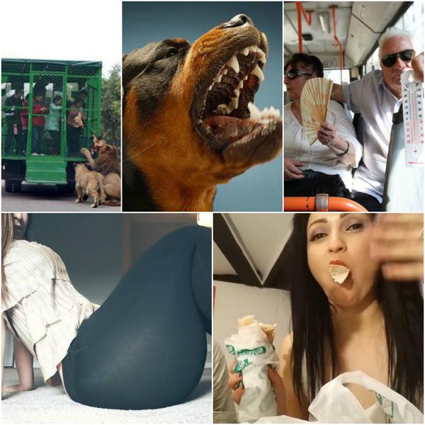 Faze tari, Foto: Colaj foto