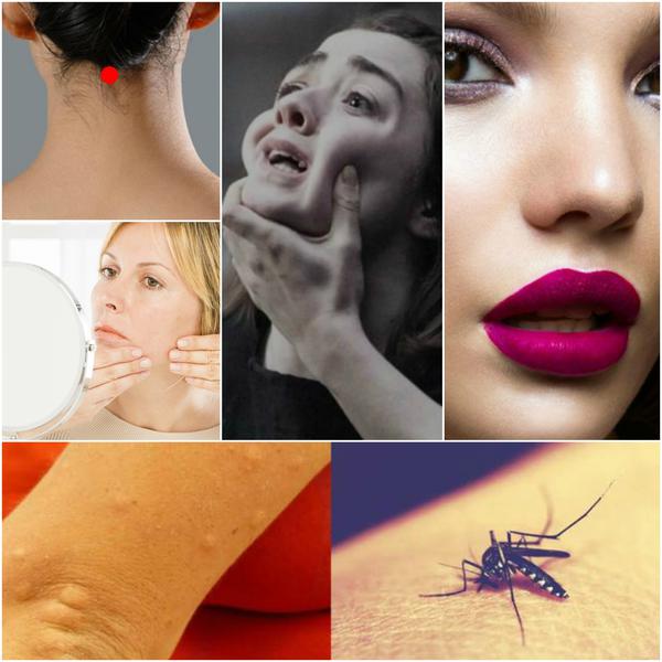 Utile, Foto: Colaj foto