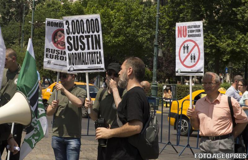 Marsul pentru Normalitate organziat de Noua Dreapta, Foto: Agerpres