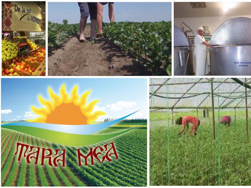 Producatori romani de succes, Foto: Smile Media