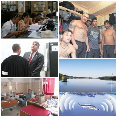 SUBIECTELE ZILEI, Foto: Colaj foto