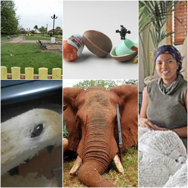 Faze tari, Foto: Colaj foto