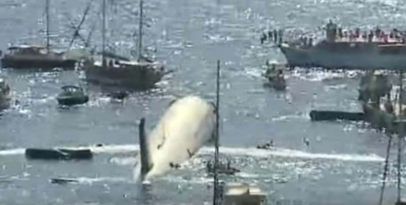 Avion scufundat in largul coastei Turciei, Foto: Captura YouTube