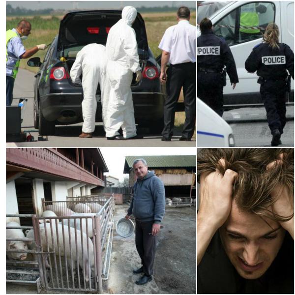 Subiectele zilei, Foto: Colaj foto