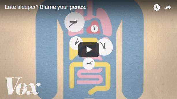 De ce unele persoane nu pot fi matinale, Foto: captura ecran