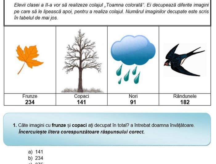 Evaluarea Nationala, cls II, 2016, Matematica, Foto: edu.ro