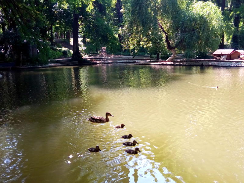 Parcul Carol, Foto: USER UPLOADED