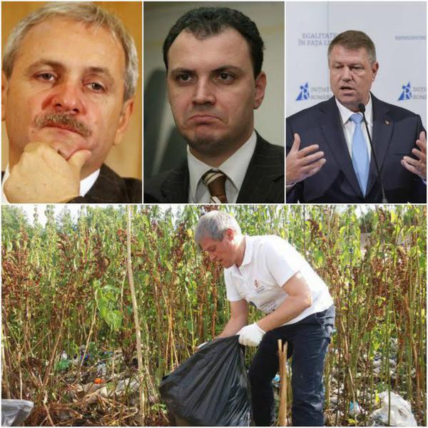 Politic, Foto: Colaj foto