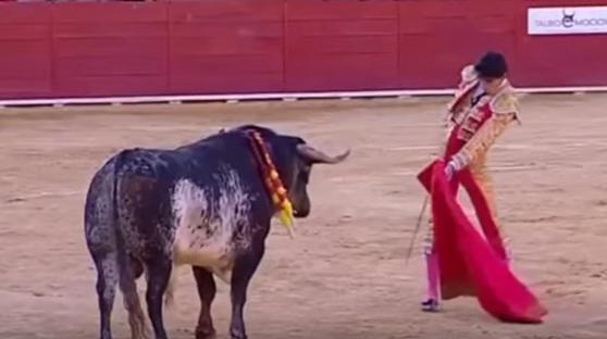 Toreadorul Victor Barrio, Foto: Captura Youtube.com