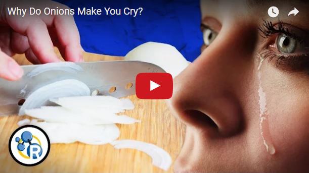 De ce plangem cand taiem ceapa, Foto: Captura YouTube