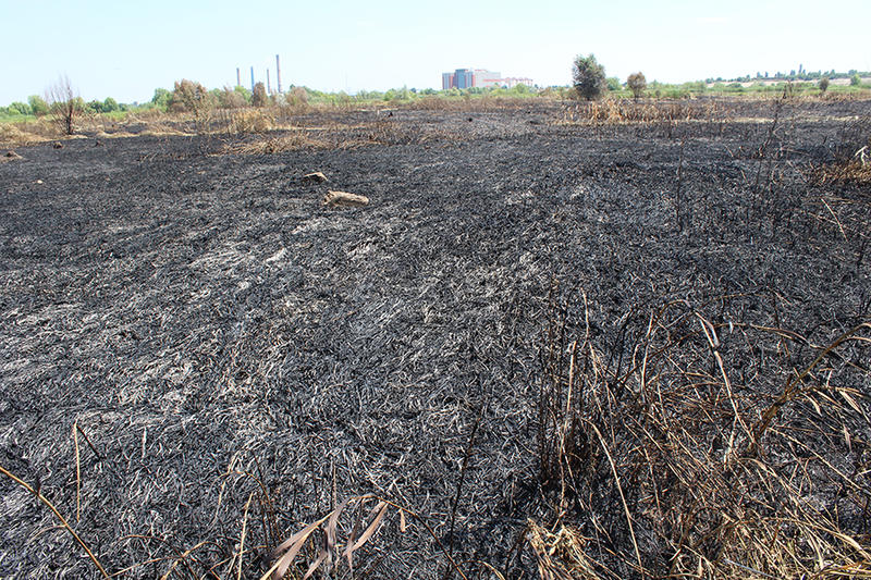 Parcul Natural Vacaresti dupa incendiu 2, Foto: Hotnews