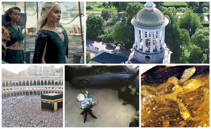 Faze tari, Foto: Colaj foto