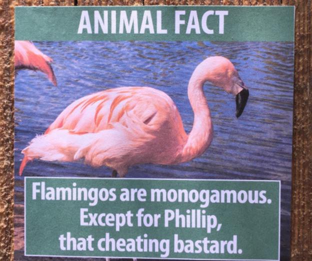 Informatii false si amuzante la o gradina zoologica din Los Angeles, Foto: Hotnews