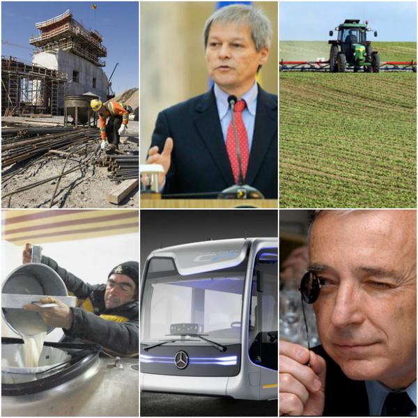 Business report, Foto: Colaj foto