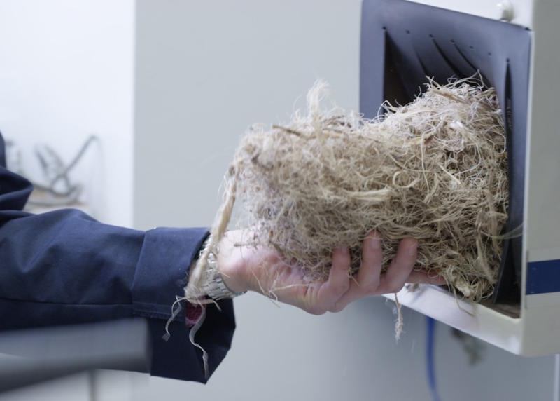 Fibre de agave, Foto: Ford