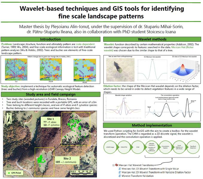 Unealta care detecteaza copacii in imaginile satelitare, Foto: Esri