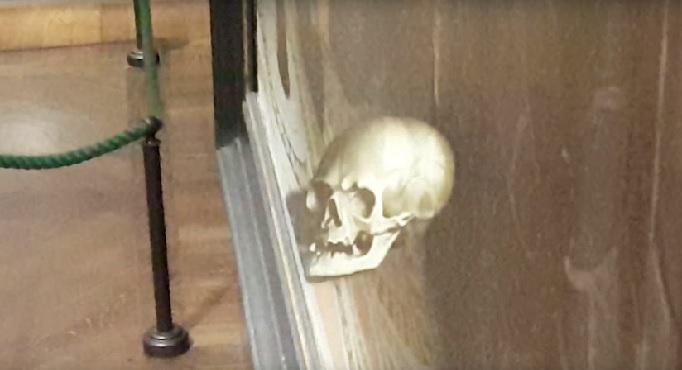 O iluzie optica ce ne fascineaza de 500 de ani, Foto: captura ecran