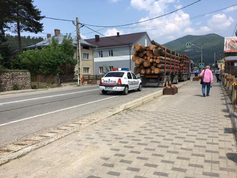 Verificarea unui transport de lemn, Foto: Facebook / Adrian Chirita