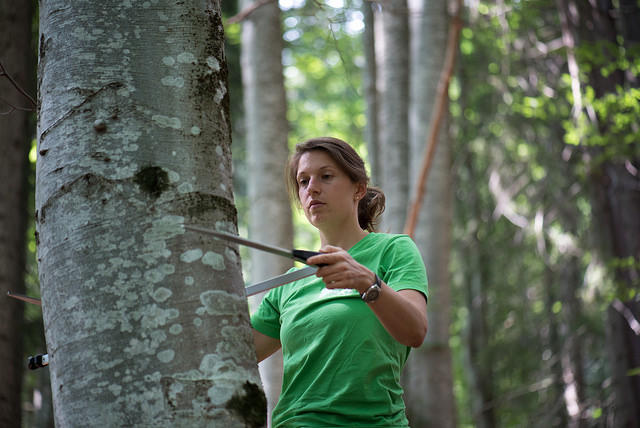 Tabara Greenpeace, Foto: Greenpeace