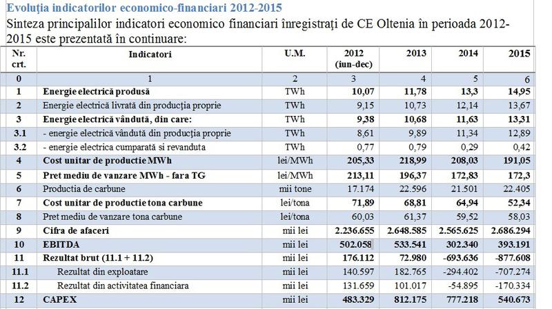 Evolutia indicatorilor economico financiari CEO, Foto: Hotnews