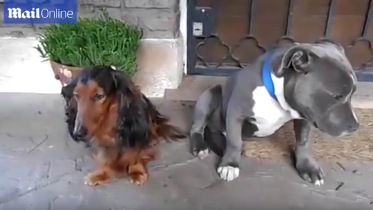 Verdict: vinovati!, Foto: youtube.com