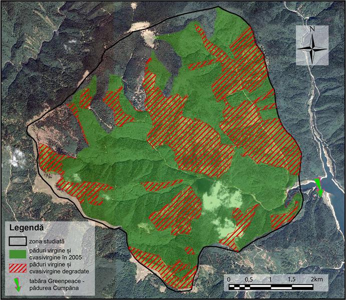 Harta paduri virgine, Foto: Greenpeace