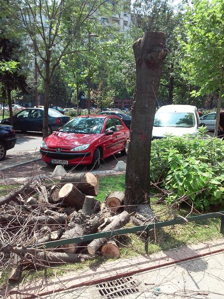 Defrisari bd. Unirii 12, Foto: Andrei Gutu