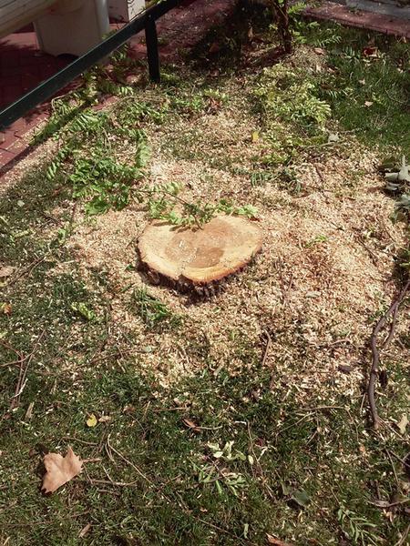 Defrisari bd. Unirii 16, Foto: Andrei Gutu