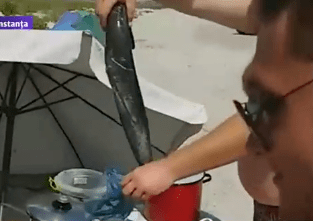 Petrecere pe plaja Corbu, Foto: Captura Digi 24