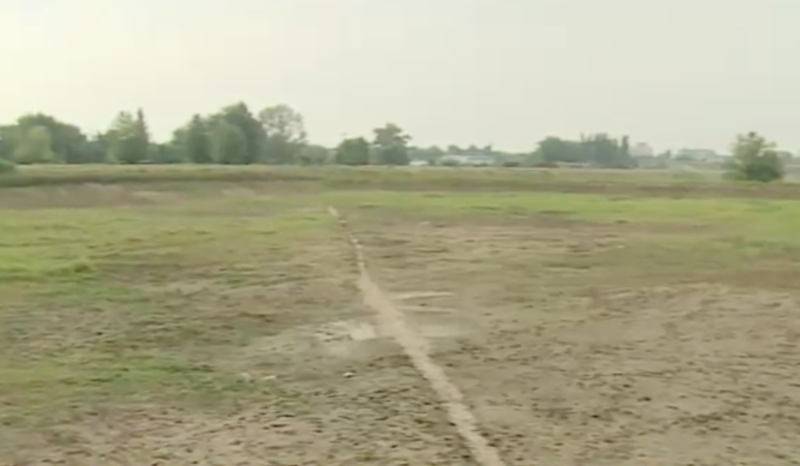 Helesteu secat in cateva saptamani in Calafat, Foto: Captura Digi 24