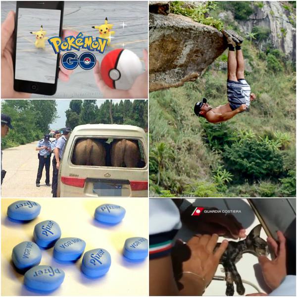 Faze tari, Foto: Colaj foto