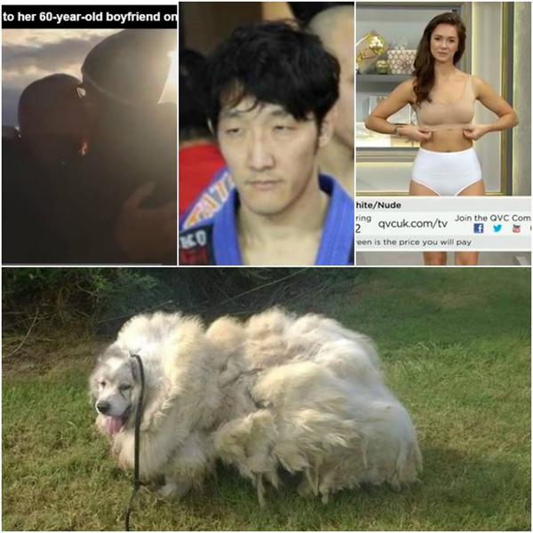 Faze tari, Foto: Colaj foto