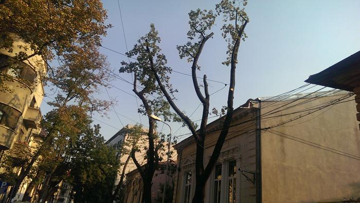 Toaletari str. Alexandru Donici 8, Foto: Hotnews