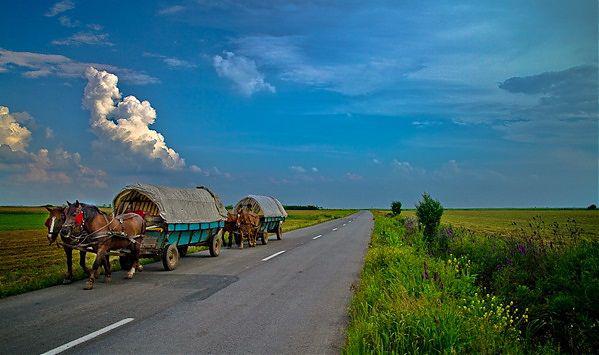 Carute cu coviltir prin tara, Foto: Calin Crestin