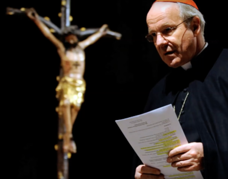 Cardinalul Christoph Schonborn, Foto: Captura YouTube