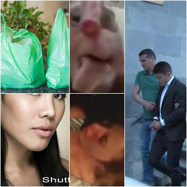 O lume nebuna, Foto: Colaj foto