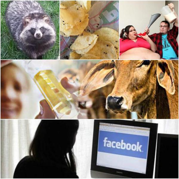 Faze tari, Foto: Colaj foto