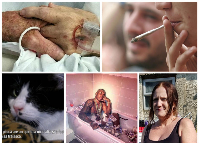 Faze Tari, Foto: Colaj foto