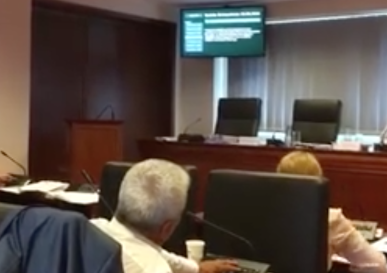 Dumitru Dobrev a votat in CGMB si pentru Nicusor Dan, Foto: Captura Facebook