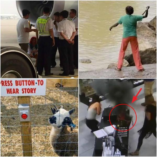 O lume nebuna, Foto: Colaj foto