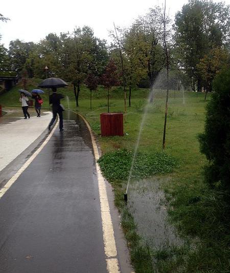 Parcul Drumul Taberei - zi ploioasa 2, Foto: Hotnews