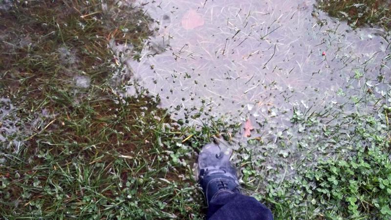 Parcul Drumul Taberei - zi ploioasa 7, Foto: Hotnews